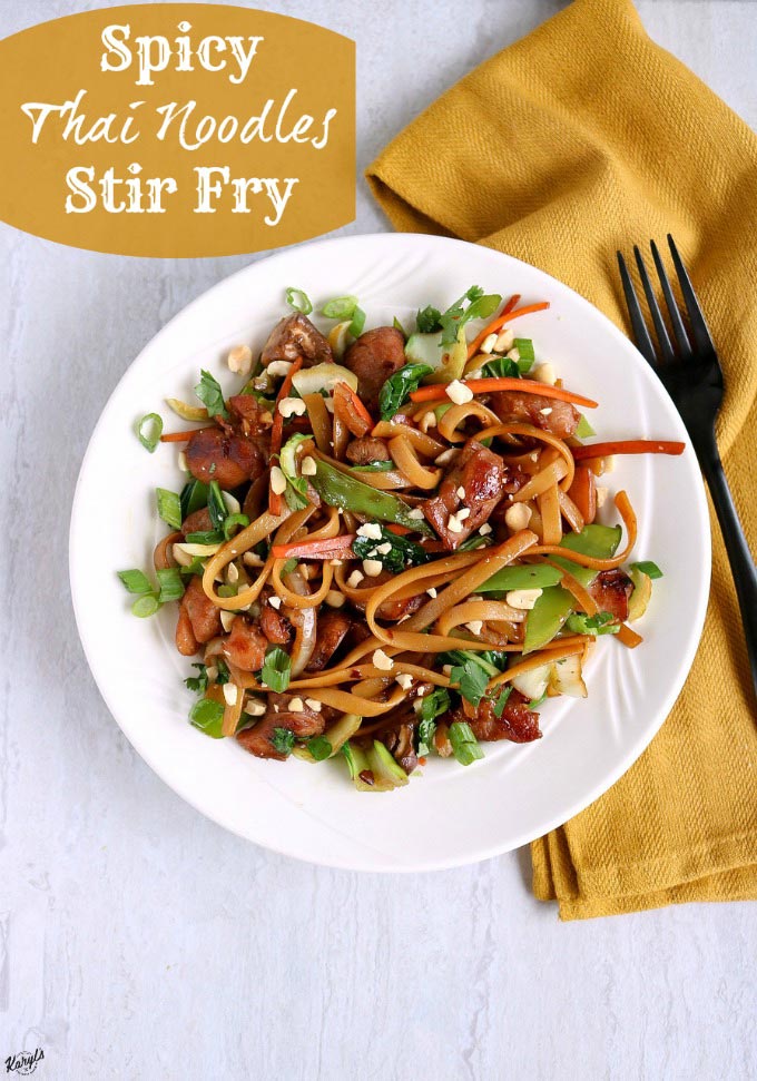 Spicy Thai Noodles Stir Fry - Karyl's Kulinary Krusade