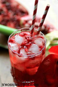 Southern-Pomegranate-Sparkler-by-Noshing-With-The-Nolands4-Medium